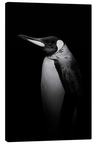 Canvas print Penguin