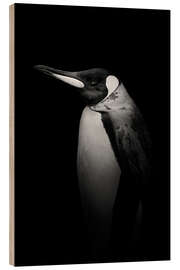 Wood print Penguin