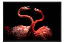 Gerahmter Kunstdruck Flamingos