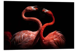 Magnettafel Flamingos