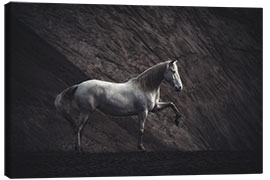 Canvas print White mare