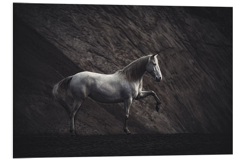 Foam board print White mare