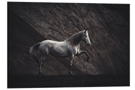 Foam board print White mare