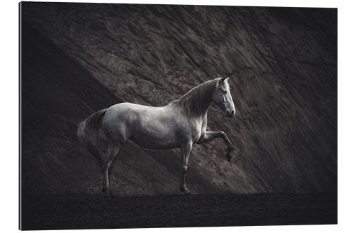 Gallery print White mare