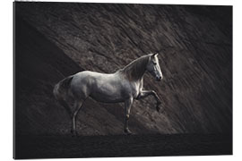 Gallery print White mare