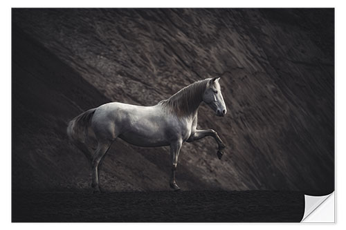 Sisustustarra White mare