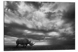 Aluminium print Rhino land