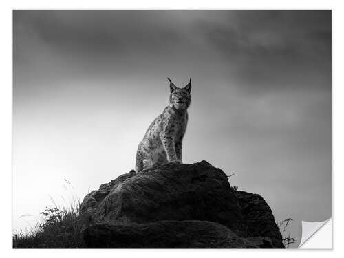 Vinilo para la pared Lynx on a rock