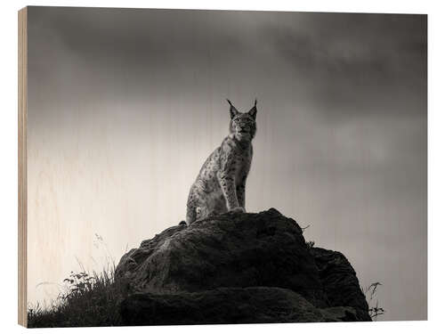 Wood print Lynx on a rock
