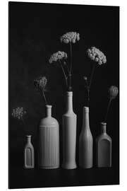 Aluminium print Daucus Carota