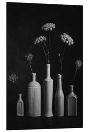 Gallery print Daucus Carota