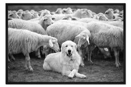 Gerahmter Kunstdruck Der Boss