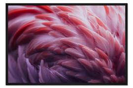 Gerahmter Kunstdruck Flamingo