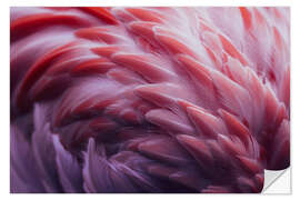 Sticker mural Plumes de flamant rose