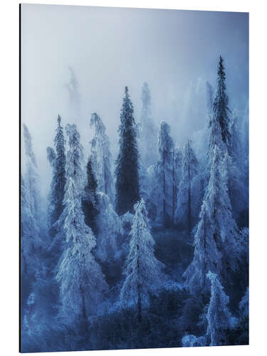 Tableau en aluminium Forêt enchantée