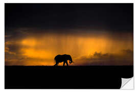 Sticker mural Éléphant dans la tempête de pluie au coucher du soleil