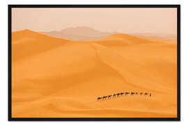 Gerahmter Kunstdruck Kamel-Karawane in der Sahara