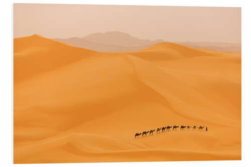 Foam board print Camel caravan in the Sahara