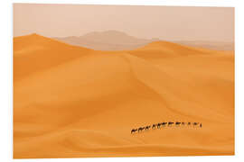 PVC-taulu Camel caravan in the Sahara