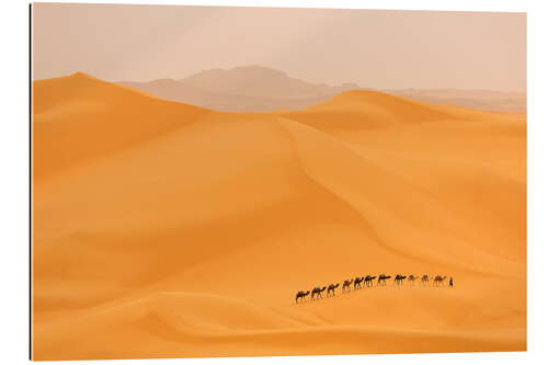 Galleritryck Camel caravan in the Sahara