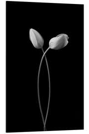 Magnettafel Umarmung