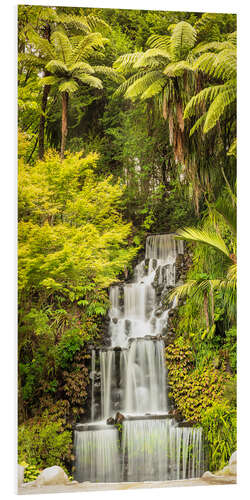 Foam board print Tropical waterfall in New Zealand