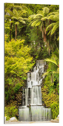 Galleriprint Tropical waterfall in New Zealand