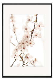 Gerahmter Kunstdruck Blüte