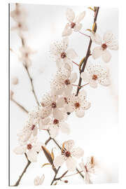 Gallery print Blossoming