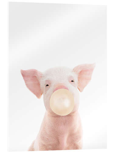 Acrylic print Pig and Bubble Gum