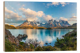 Hout print Patagonian Andes at sunrise