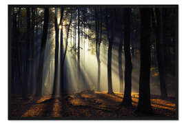 Gerahmter Kunstdruck Und dann war da noch Licht