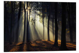 Magnettafel Und dann war da noch Licht