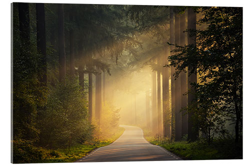 Acrylic print Late summer morning