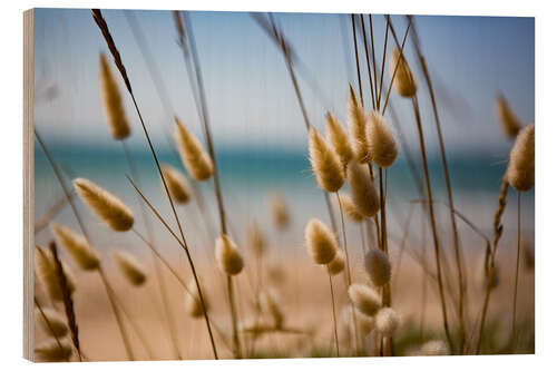 Wood print Flowering grass in the dunes