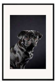 Gerahmter Kunstdruck Schwarzer Mops