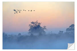 Vinilo para la pared Niebla matutina en el Okavango