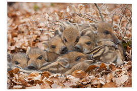 Foam board print Freshlings warm each other