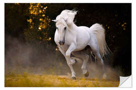 Sisustustarra Stallion in motion