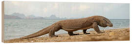 Wood print Komodo dragon