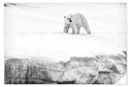 Wall sticker Polar bear female on the crest of a glacier