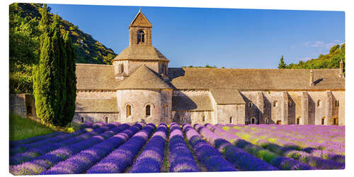 Lienzo Abadía cisterciense, Abbaye Notre-Dame de Sénanque