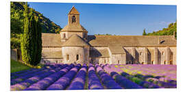 Foam board print Cistercian Abbey, Abbaye Notre-Dame de Sénanque