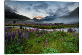 Galleritryck Milford Sound sunrise