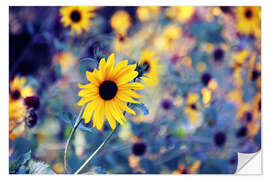 Naklejka na ścianę Sunflowers in the wind