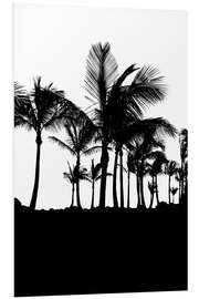 Print på skumplade Palm trees silhouettes