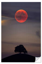 Selvklebende plakat Blood moon