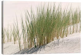Canvastavla Common beach grass - Frederik