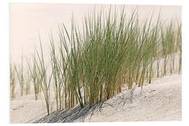 Tableau en PVC Herbe de plage commune