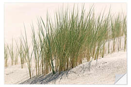 Naklejka na ścianę Common beach grass